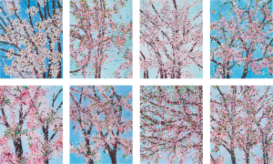 A grid of eight vibrant cherry blossom paintings on blue backgrounds, depicting trees in full spring bloom.